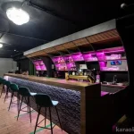 караоке-бар эстрада фото 2 - karaoke.moscow